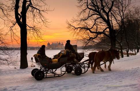 Winterliche Pferdeschlittenfahrt um das Schloss Moritzburg