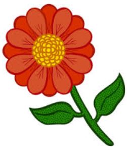 Blume