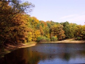 stadt_coswig_spitzgrundteich_im_herbst