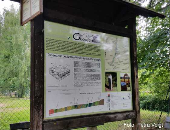 Foto_Petra_Voigt