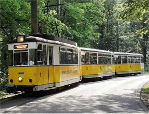 Kirnitzschtalbahn_Foto_RVSOE