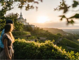 Sonnenuntergang am Spitzhaus Radebeul_ Foto Erik Gross