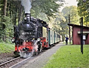 VVO_Loessnitztalbahn_Foto_Lars_Neumann