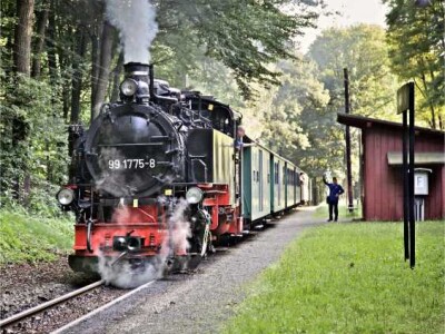 VVO_Loessnitztalbahn_Foto_Lars_Neumann