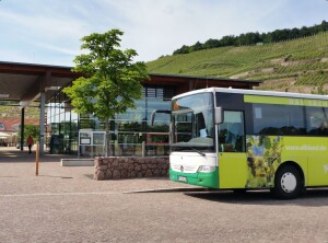 Bus in Wackerbarth_Foto_VGM_Raden